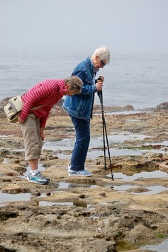 Walking%20botanical%201%202018
