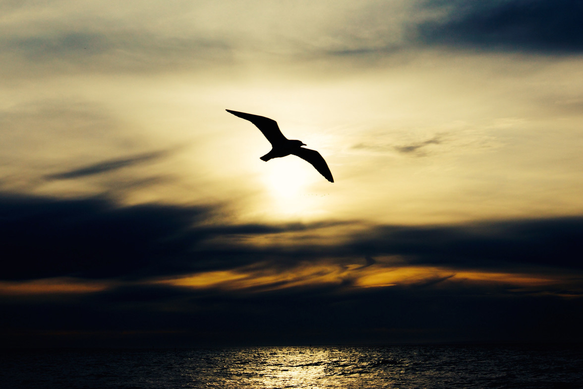 Slideshow image